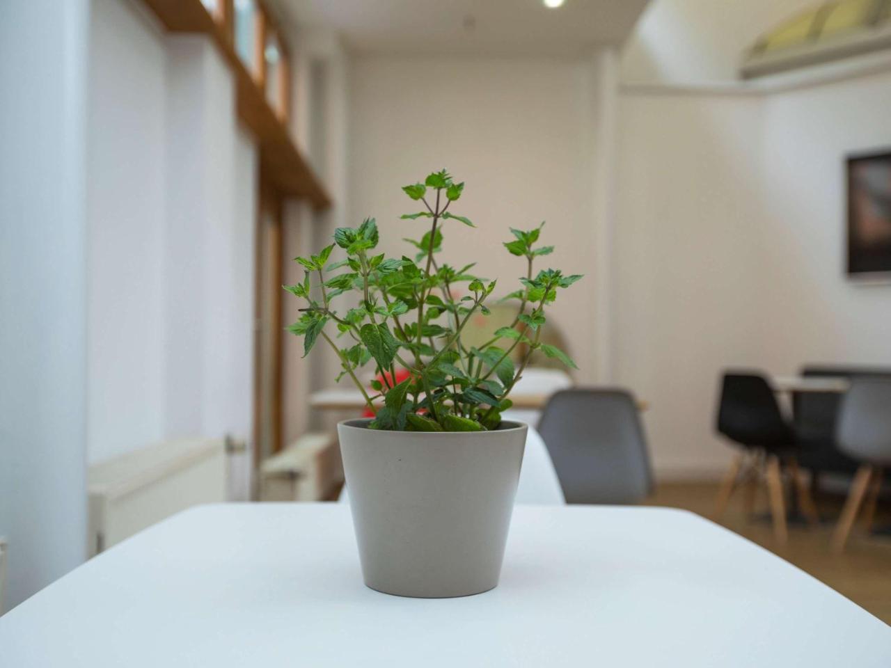 Ibis Süd Berlin